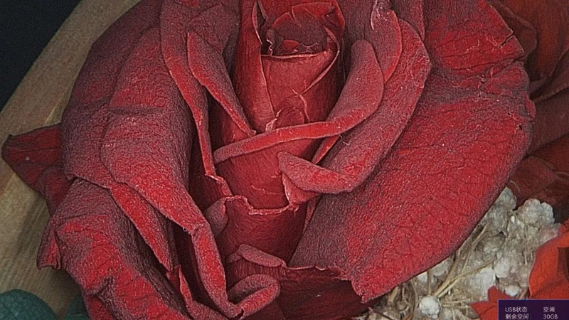 腹腔镜都有什么品牌厚积薄发 ｜ 鹰利视原研4K腹腔镜摄像系统比肩进口产品！_https://www.jmylbn.com_新闻资讯_第13张